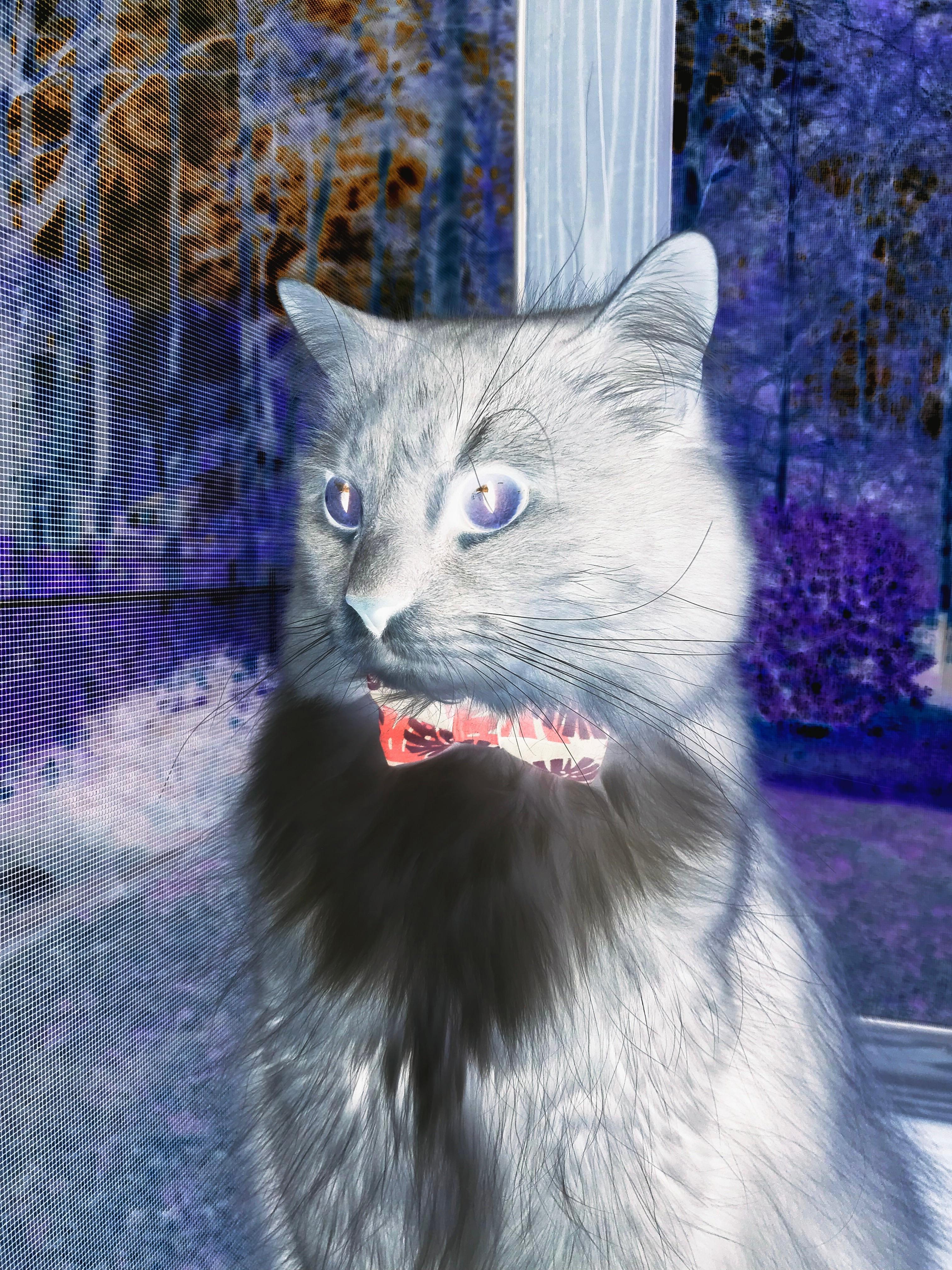 各地青少年篮球“梦想启程”公益行持续深入乡村，青少年篮球招生海报