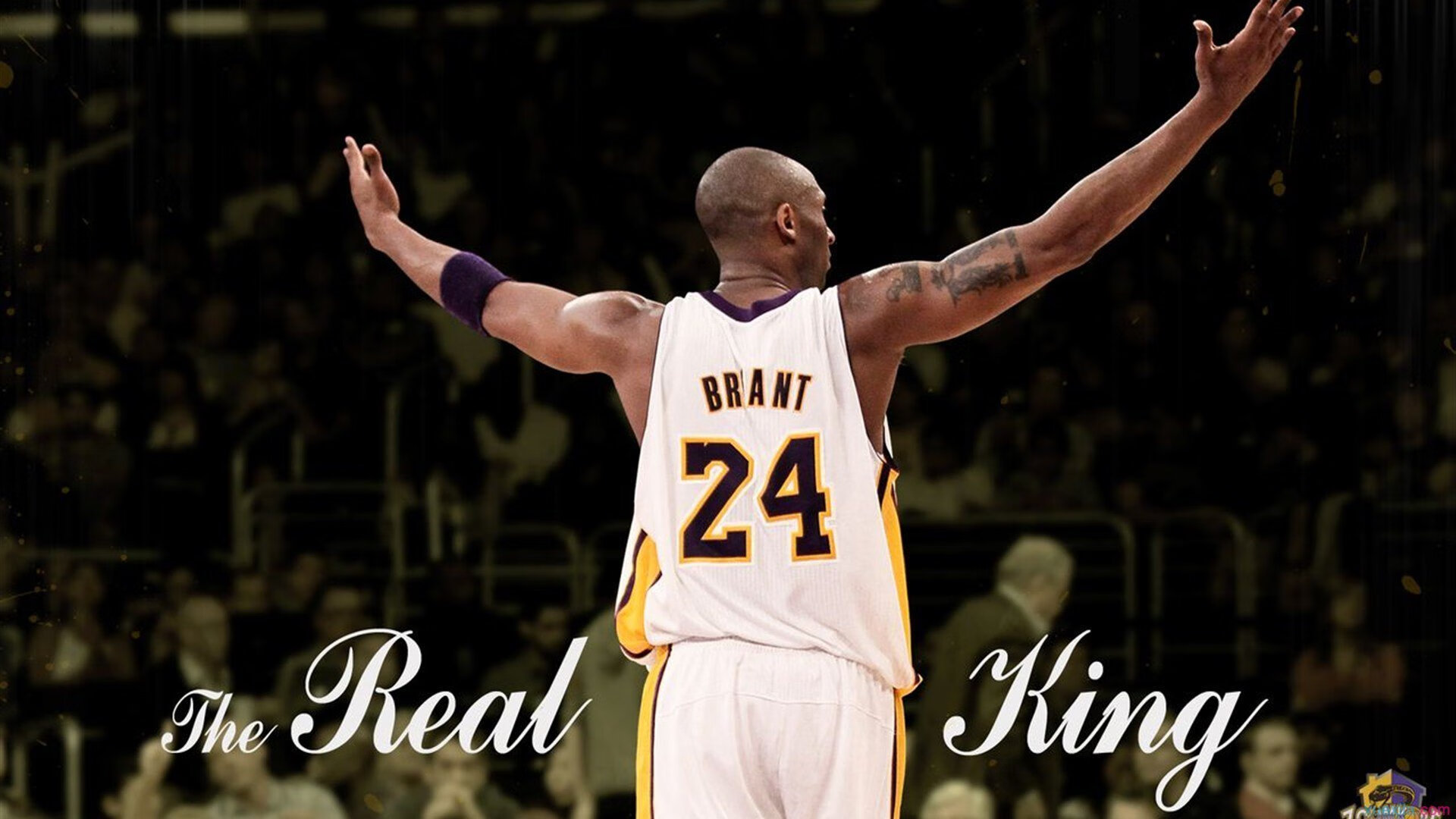 AYX体育官网-乔·莫伊：稳定的scrum技术让全黑队在对抗中占得先机，攻防无缝连接